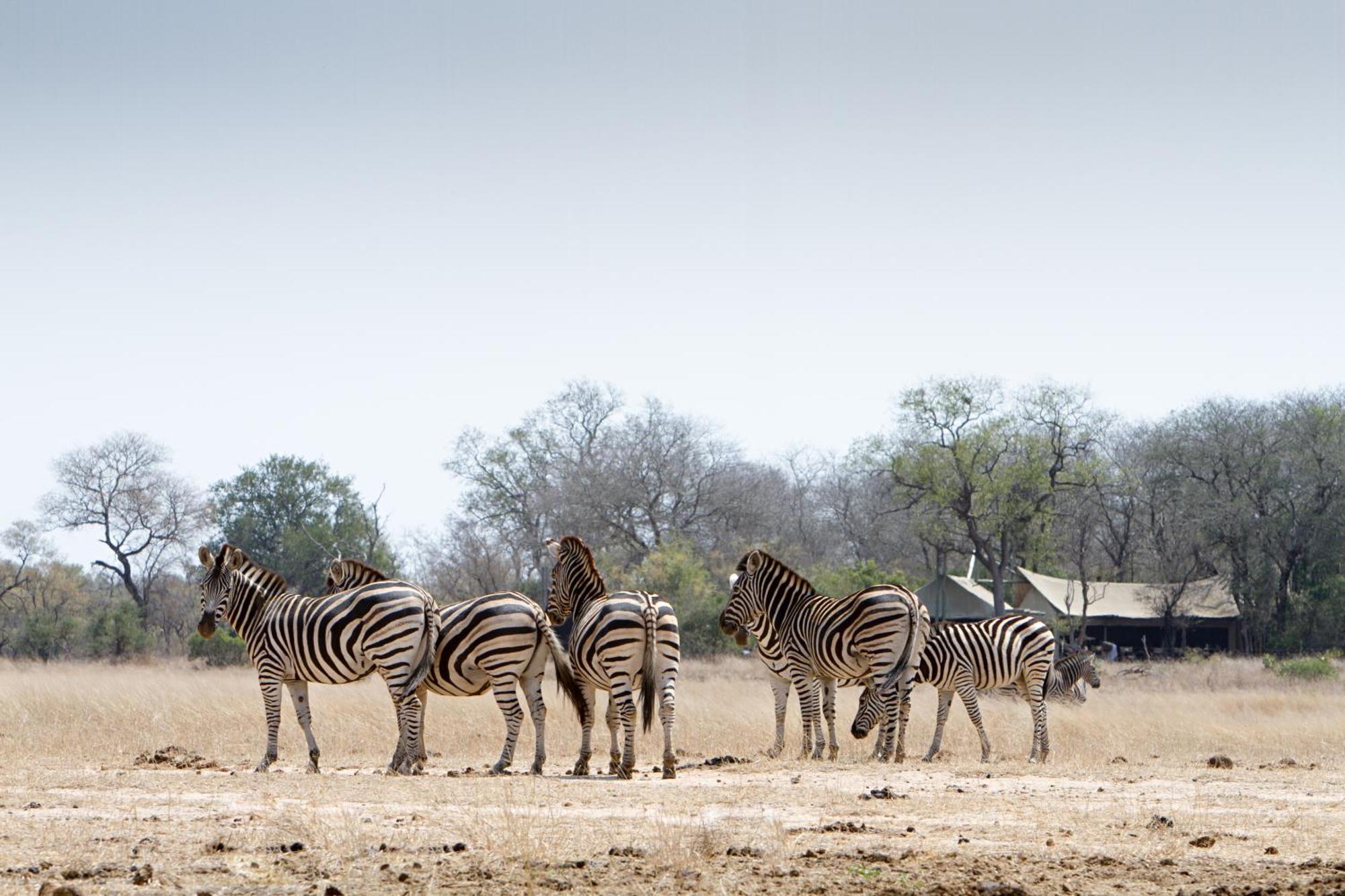 Hotel Rhino Walking Safaris Skukuza Exterior foto