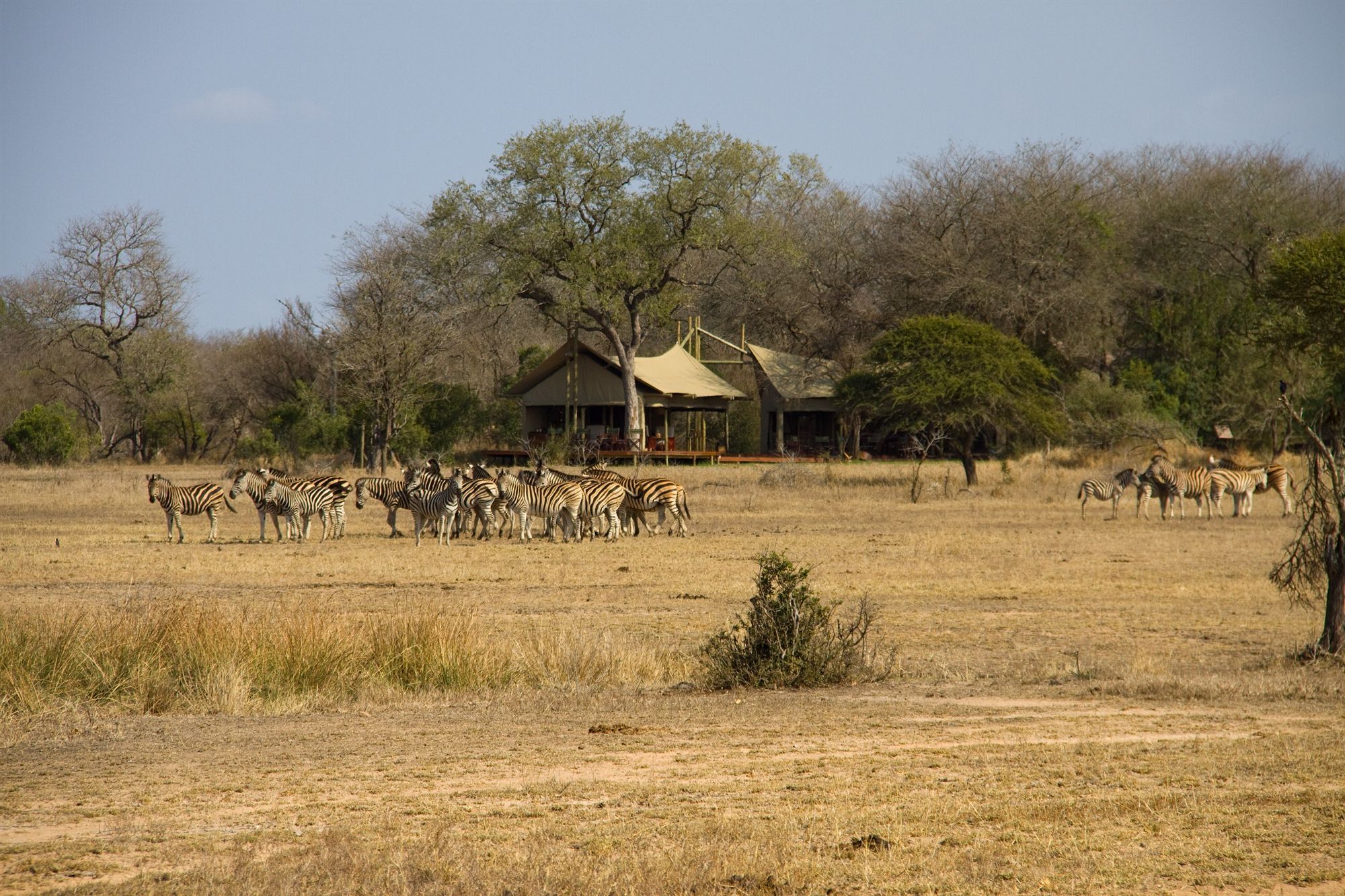 Hotel Rhino Walking Safaris Skukuza Exterior foto